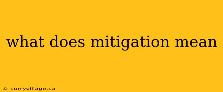 what does mitigation mean