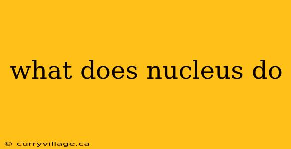 what does nucleus do