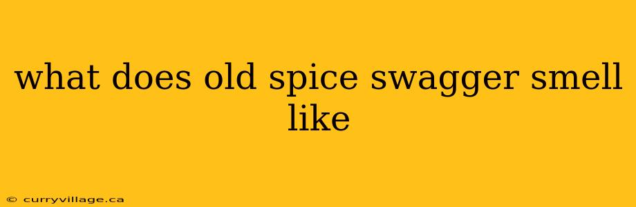 what does old spice swagger smell like