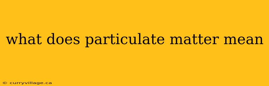 what does particulate matter mean