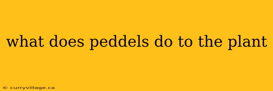 what does peddels do to the plant