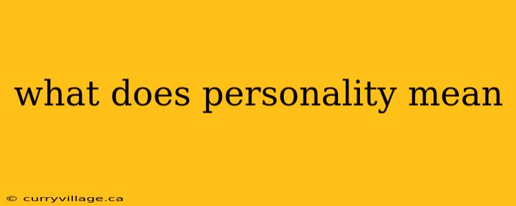 what does personality mean