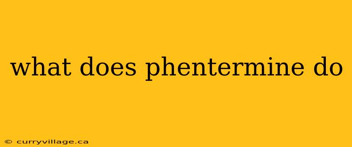what does phentermine do