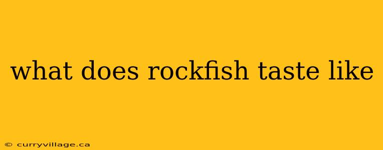 what does rockfish taste like
