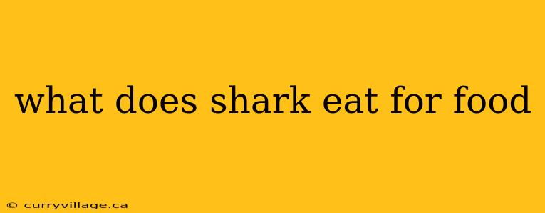 what does shark eat for food