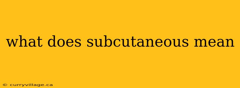 what does subcutaneous mean