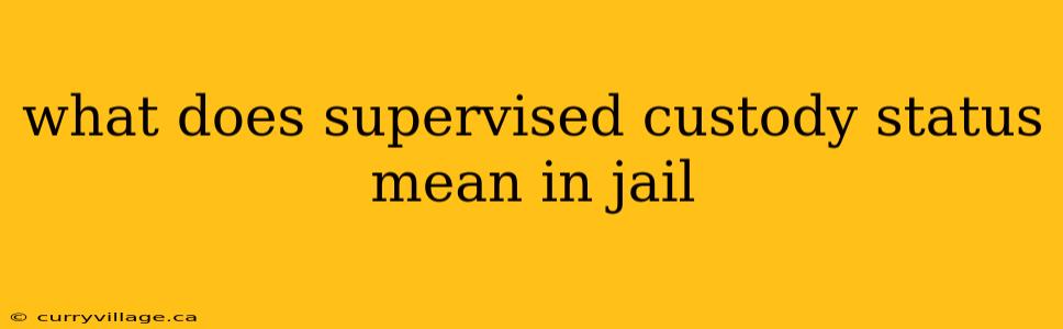 what does supervised custody status mean in jail
