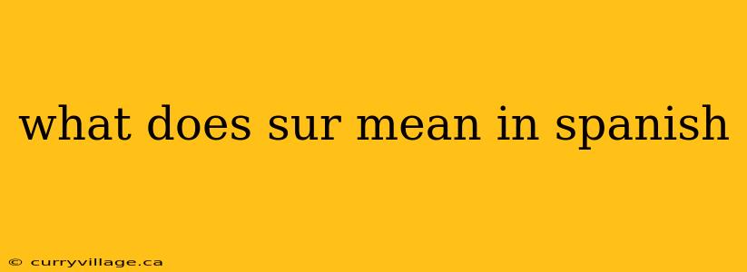 what does sur mean in spanish
