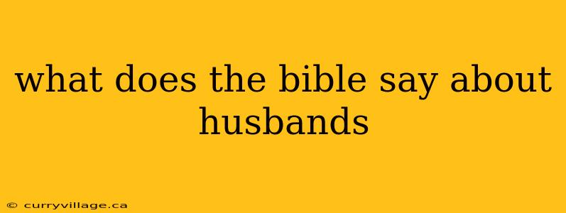 what does the bible say about husbands