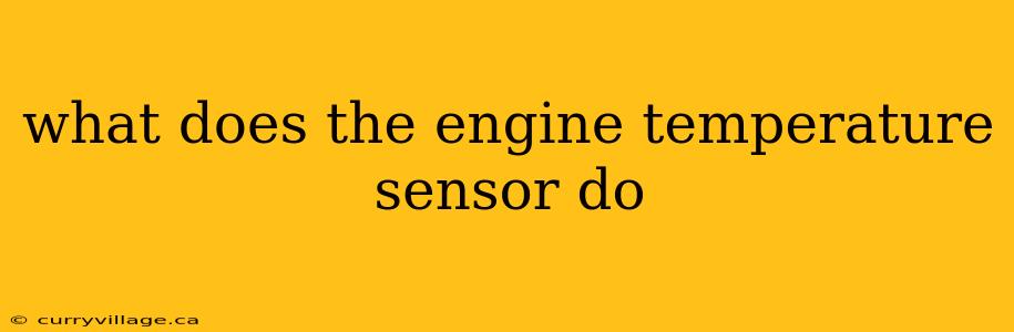 what does the engine temperature sensor do