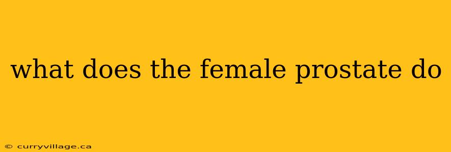 what does the female prostate do