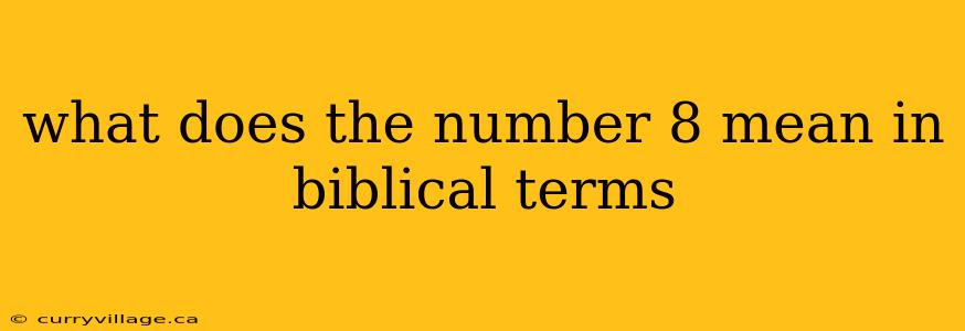 what does the number 8 mean in biblical terms