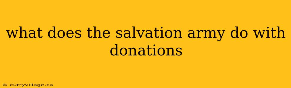 what does the salvation army do with donations