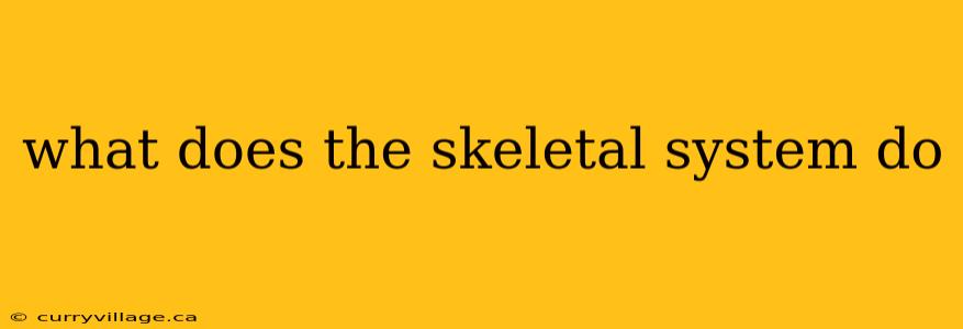 what does the skeletal system do