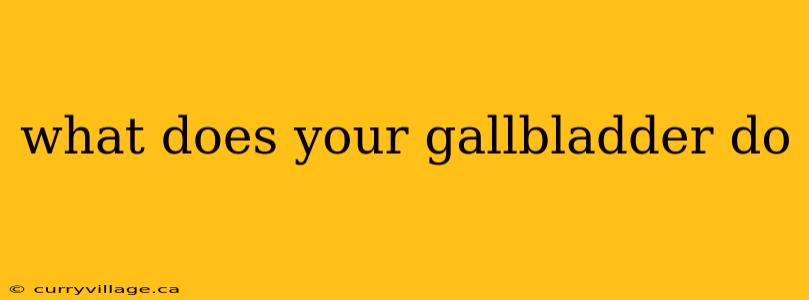 what does your gallbladder do