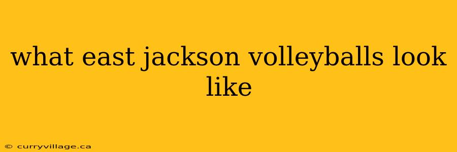 what east jackson volleyballs look like