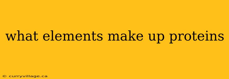 what elements make up proteins