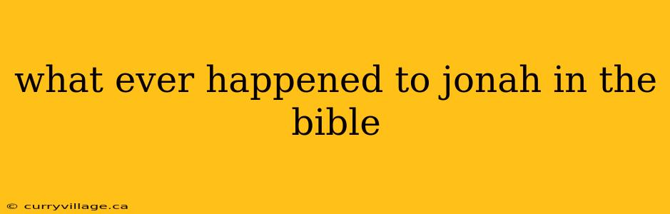 what ever happened to jonah in the bible