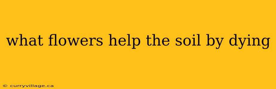 what flowers help the soil by dying