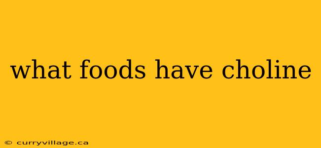 what foods have choline