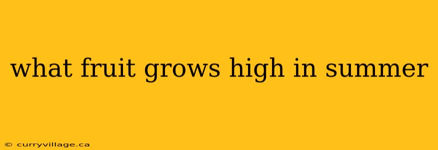 what fruit grows high in summer