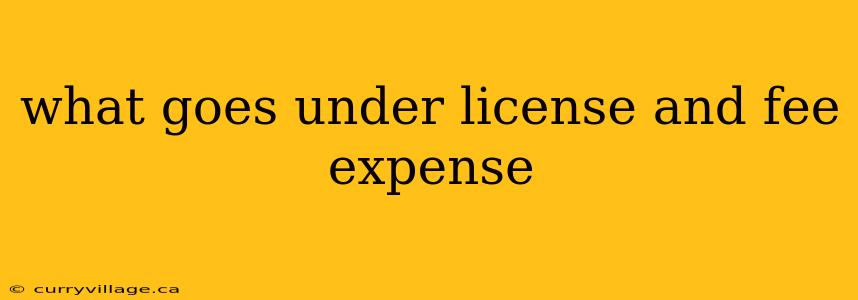 what goes under license and fee expense