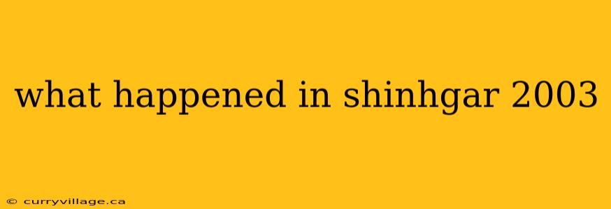 what happened in shinhgar 2003