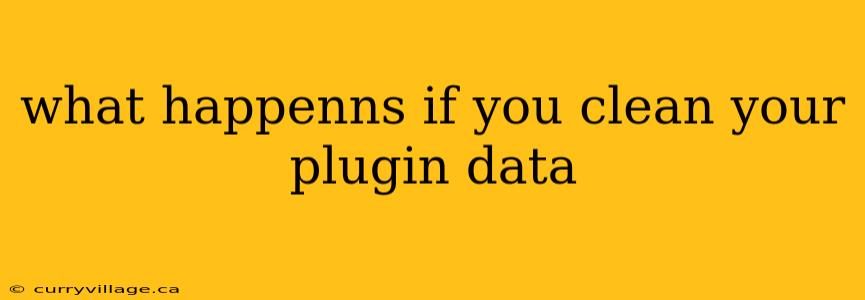 what happenns if you clean your plugin data