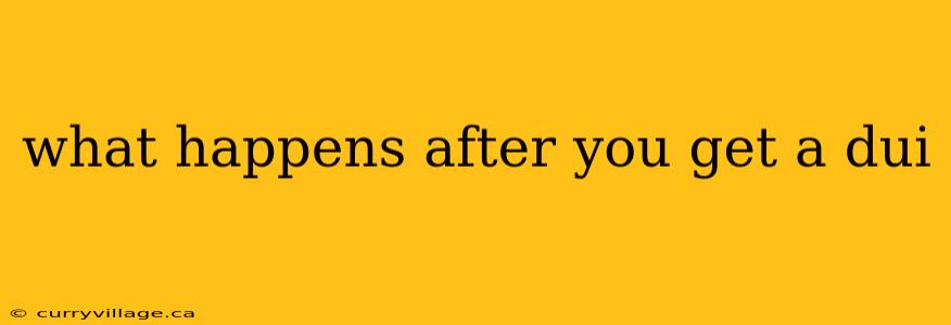what happens after you get a dui