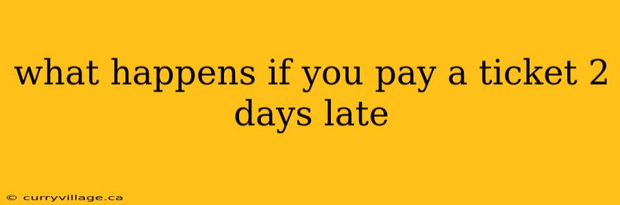 what happens if you pay a ticket 2 days late