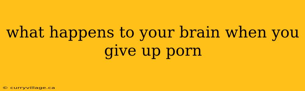what happens to your brain when you give up porn
