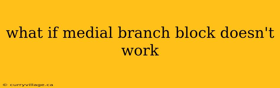 what if medial branch block doesn't work