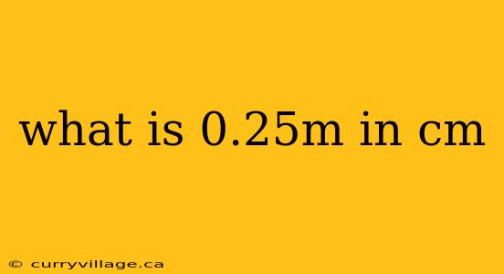 what is 0.25m in cm