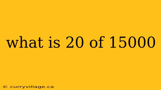 what is 20 of 15000