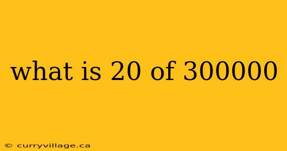 what is 20 of 300000
