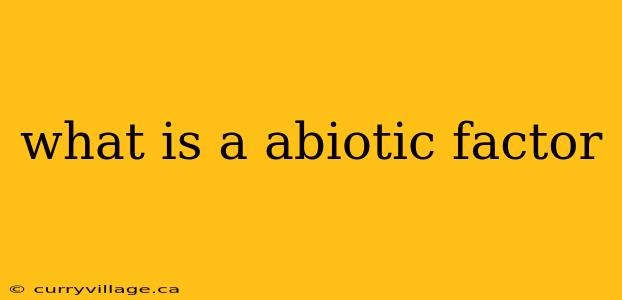 what is a abiotic factor