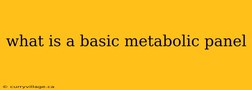 what is a basic metabolic panel