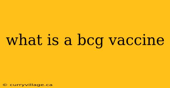 what is a bcg vaccine