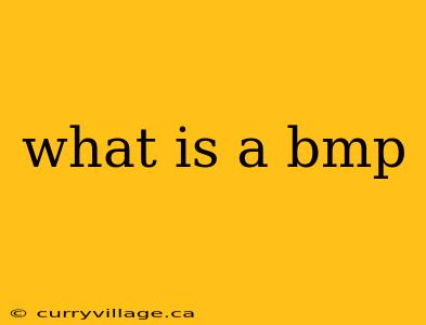 what is a bmp