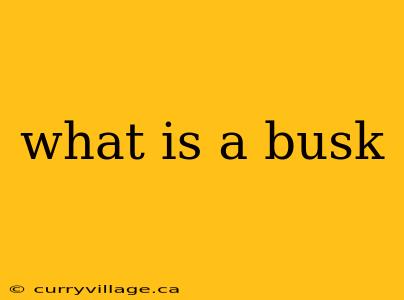 what is a busk