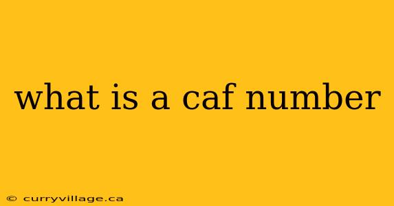 what is a caf number