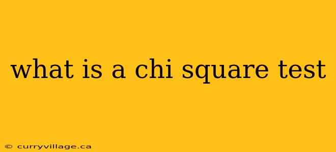 what is a chi square test