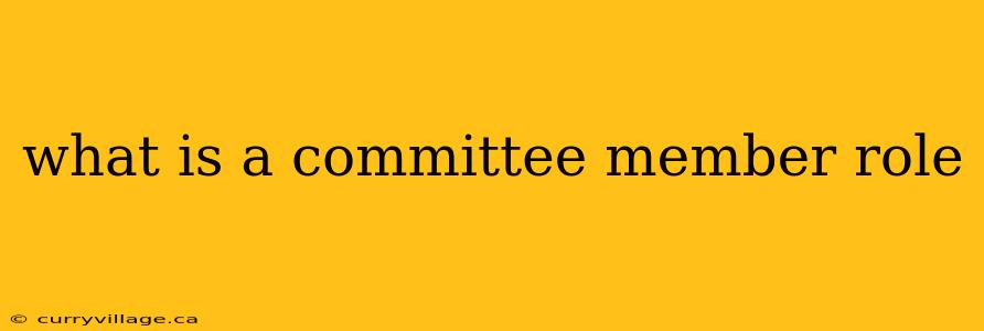 what is a committee member role