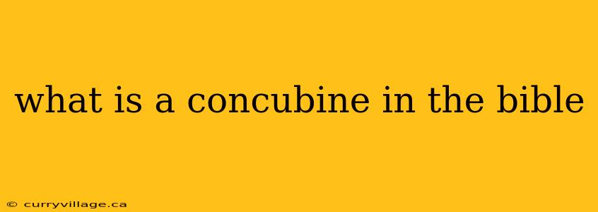 what is a concubine in the bible