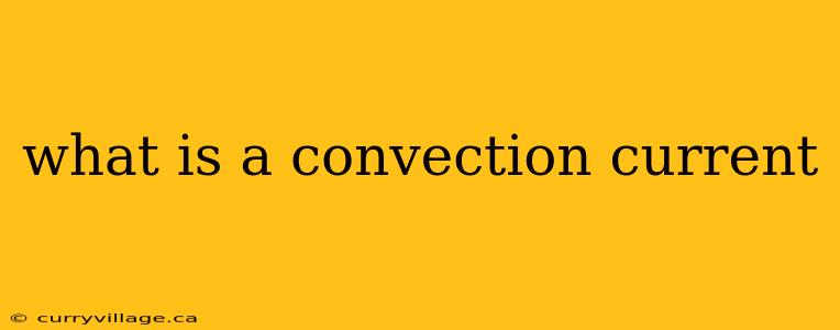 what is a convection current