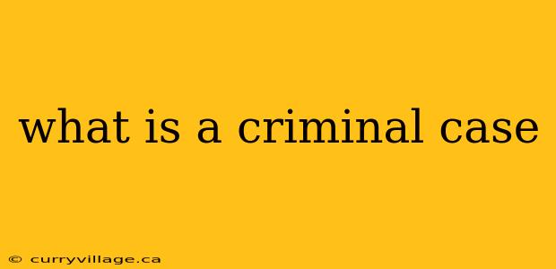 what is a criminal case