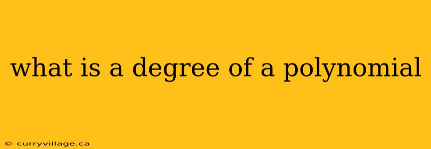 what is a degree of a polynomial