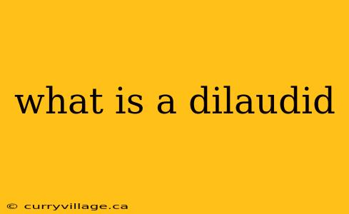 what is a dilaudid