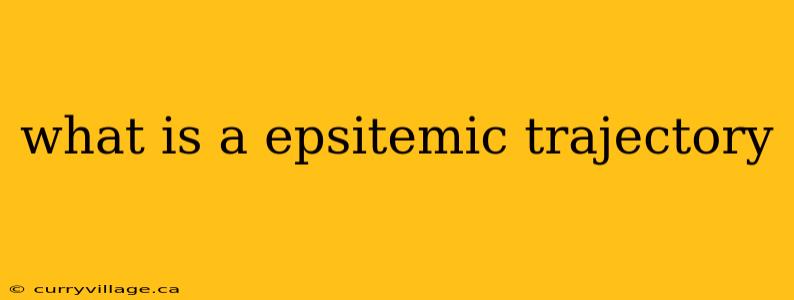 what is a epsitemic trajectory