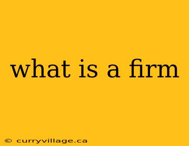 what is a firm